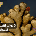 فوائد الزنجبيل وأضراره